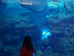 -迪拜水族馆及水下动物园