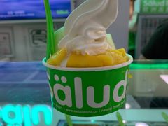 -Salud撒露欧洲冻酸奶(五道口购物中心店)