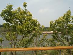 -东郊湿地公园