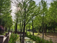 -柳鹭田园区