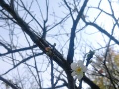 -玉树公园