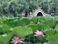 -长春市南湖公园