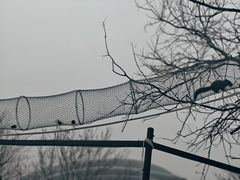 -海合安天津极地海洋公园