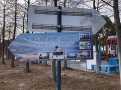 -春花秋色城市公园