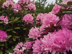 -名花谷生态庄园
