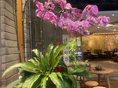 -青藤茶馆(南山路店)