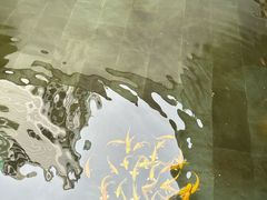 -觀芷隐轩