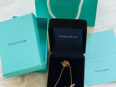 -Tiffany & Co.蒂芙尼
(天津万象城店)