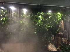 -甲大帅·甲鱼·椰子鸡主题餐厅(唐家店)