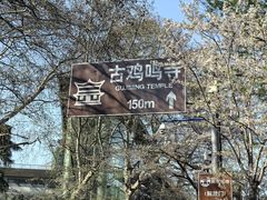 -九十葉·抹茶(南京·德基店)