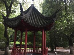 -上海理工大学出版印刷高等专科学院-学生食堂