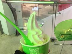 -Salud撒露欧洲冻酸奶(北苑上品店)