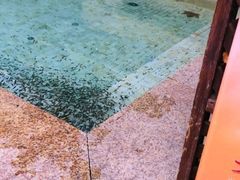 -春晖园度假酒店温泉