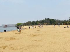 -瑶湖郊野森林公园