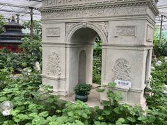 -南宫五洲植物乐园