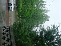 -中原农家乐(中原饭店)