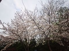 -石湖景区