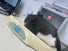 -宠颐生中康贝怡动物医院