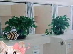 -蜜蜂读书·24h自习室(角门西店)