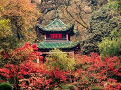 -岳麓山风景名胜区