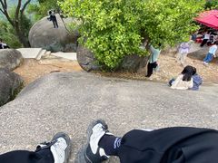 -火炉山森林公园