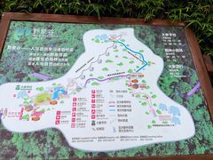 -野象谷景区
