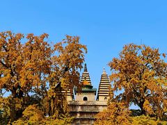 -北京石刻艺术博物馆(五塔寺)