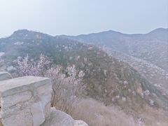 -北京凤凰岭