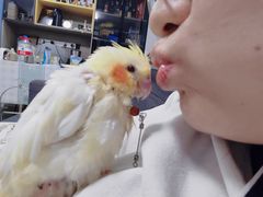 -达爱动物医院·犬猫分区·CT·复杂眼科(远洋山水分院)