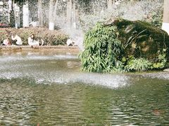 -温江公园