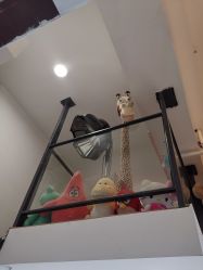 -奇怪的独角兽亲子理发沙龙