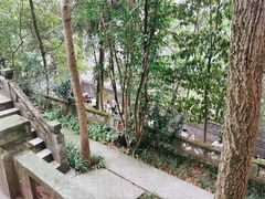 -老君山