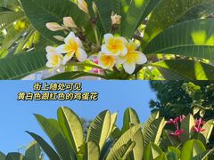 -湄洲岛