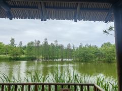 -上海长兴岛郊野公园