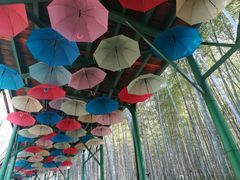 -陶祖圣境风景区