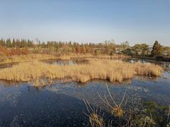 -泗洪洪泽湖湿地景区