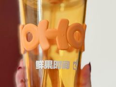 -鲜果时间·果蔬茶(赛格负二层店)