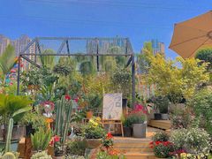 -三圣花乡旅游区