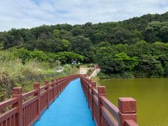 -黄埔油麻山森林公园