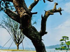 -东钱湖旅游度假区