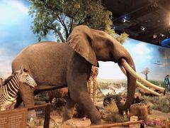 -陕西自然博物馆