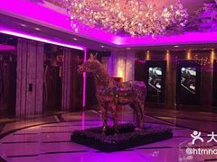 -纯K(打浦桥店)