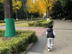 -苏州河梦清园环保主题公园