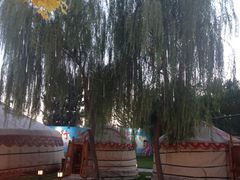 -大汗行宫园林餐厅