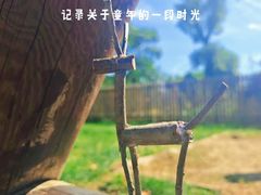 -日光山谷营地乐园