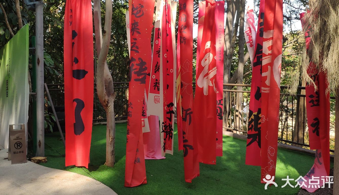 今天，我选择宅