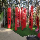 今天，我选择宅