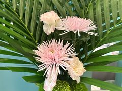 -南堂馆·新川菜(春熙路店)