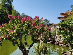 -深圳仙湖植物园