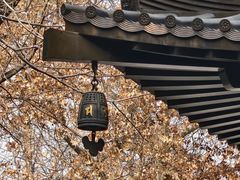 -清真·老兰家(兴善寺西街总店)